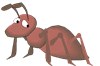 ant