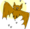 bat