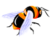 bee