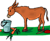 donkey