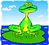 frog