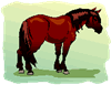 horse