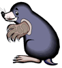 mole