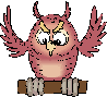 owl