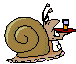 snail