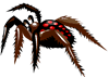 spider