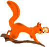 squirrelred