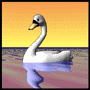 swan
