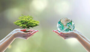 từ vựng tiếng anh chủ đề môi trường