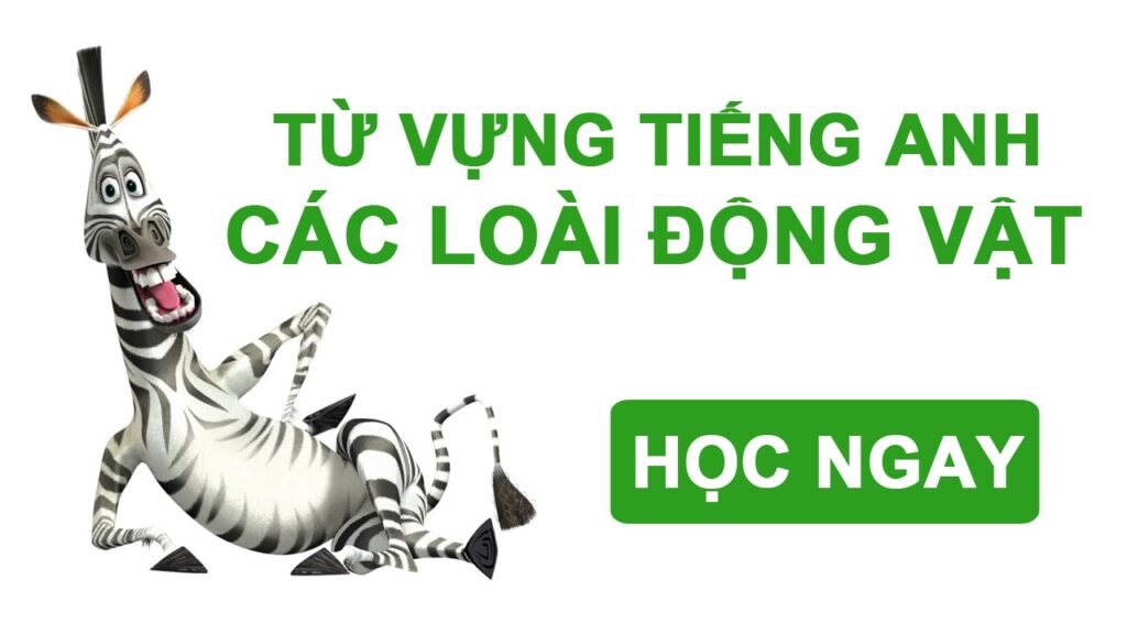 tên các con vật bằng tiếng anh
