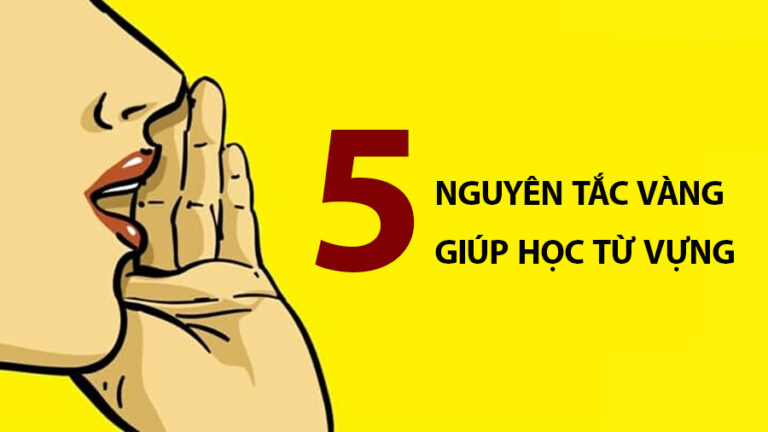 5 nguyên tắc vàng giúp học từ vựng dễ ăn như ăn bánh.