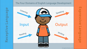 Học IELTS theo “Input – Output”: Chiến lược cốt lõi giúp tăng band bền vững và nhanh gấp đôi